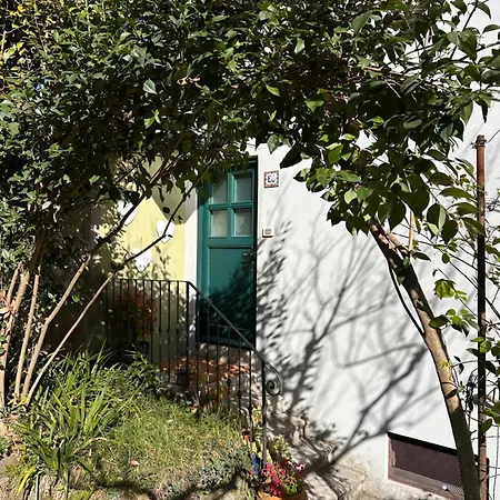 Little Garden House Holiday home