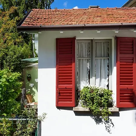 Little Garden House *